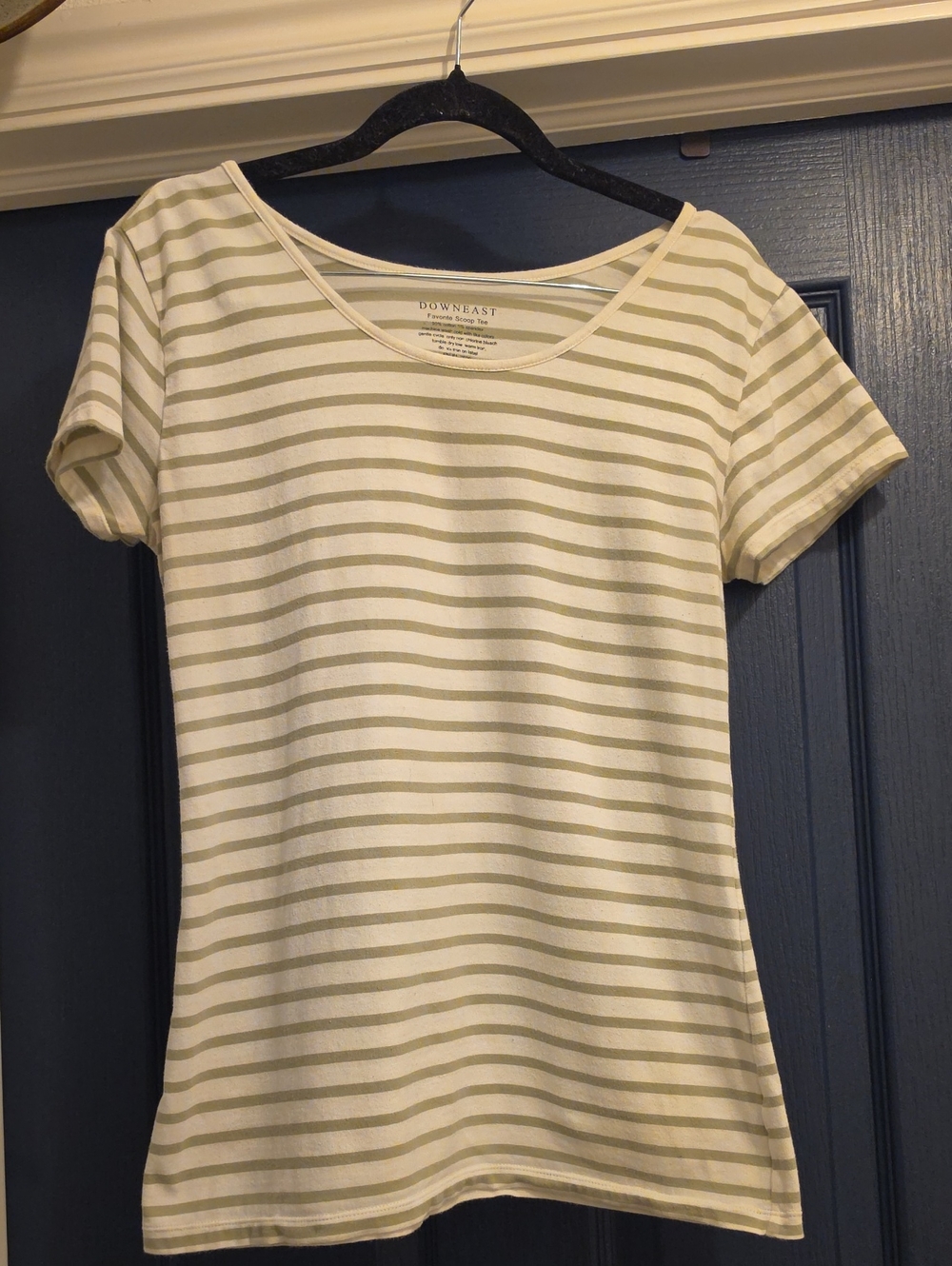 DownEast Ivory and Sage Striped Short Sleeve Tee